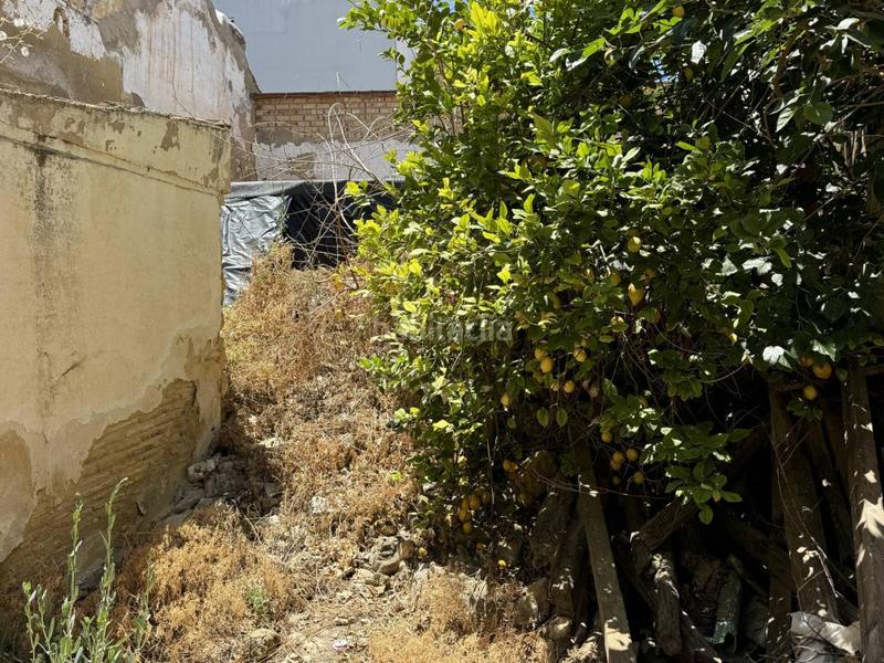 Foto c0055bb0-d596-42df-89cd-bb16d7fb8291. Maison dans Osuna