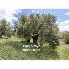 Finca rústica  Carretera córdoba-valencia. Terreno en venta en carretera úbeda-madrid, úbeda