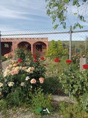 Finca rústica  Calle poniente obispo-cl h. Terreno en venta en carretera torreblascopedro, baeza