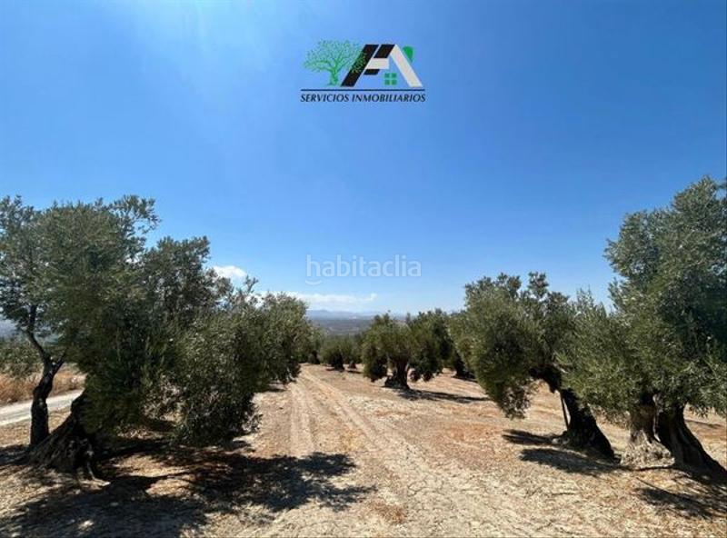 Foto 00316c64-a6dc-44f3-ac9d-b04dd89ec735. Finca rústica terreno en venta en cuesta lazaricos, en Baeza