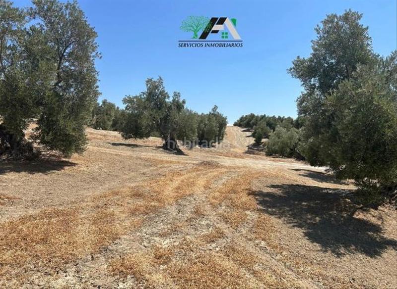 Foto 1fd3f196-f42c-4713-807f-0489e5d282b6. Finca rústica terreno en venta en cuesta lazaricos, en Baeza