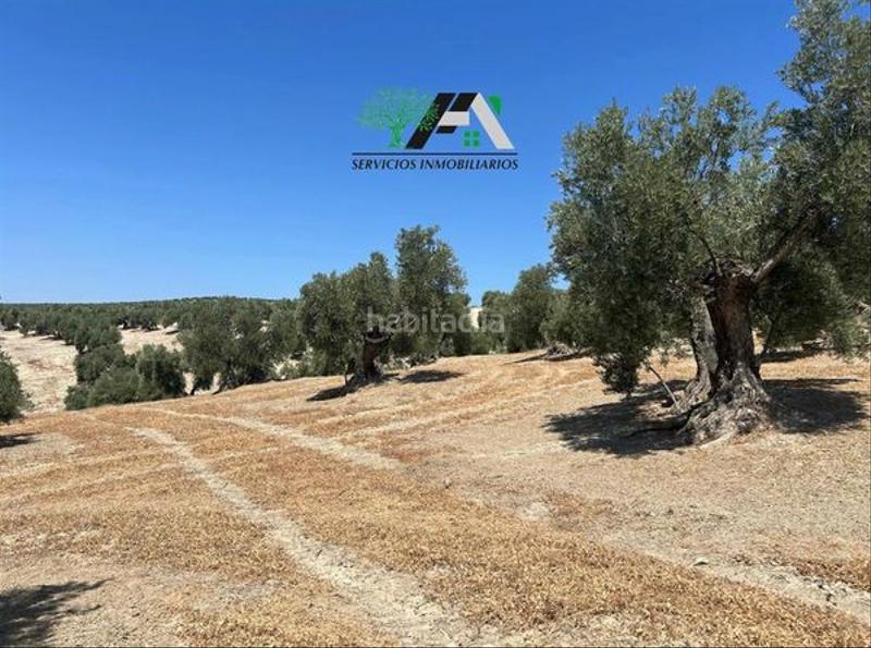 Foto 6884ef32-2099-4aa1-8a34-47d367141db1. Finca rústica terreno en venta en cuesta lazaricos, en Baeza