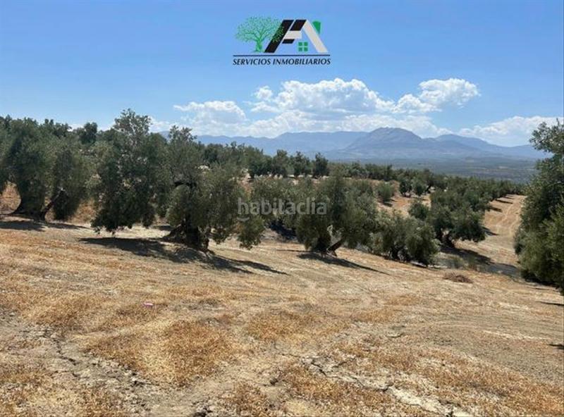 Foto 90bf45bf-1000-4991-b388-c22670891b86. Finca rústica terreno en venta en cuesta lazaricos, en Baeza