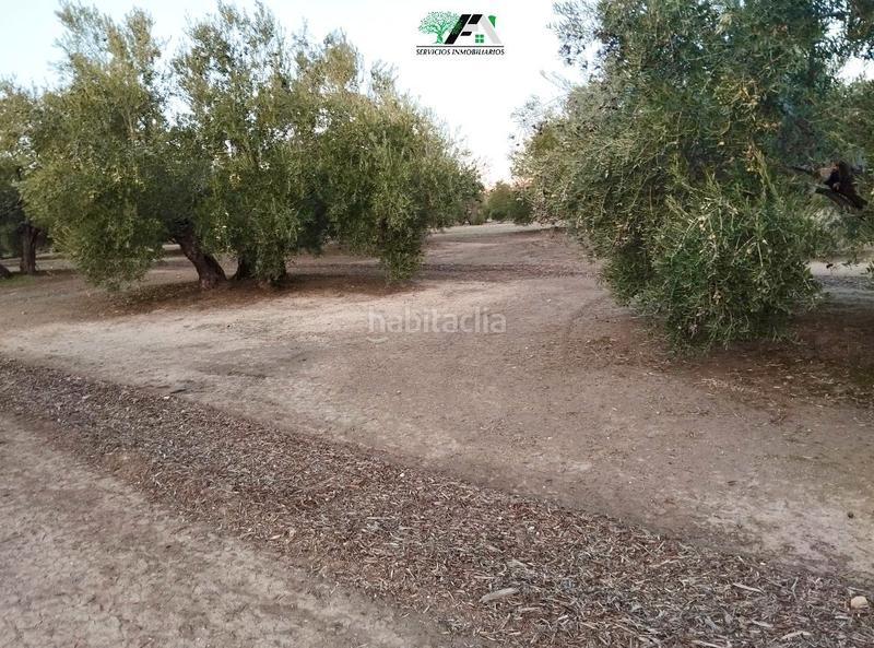 Foto a247d016-e051-4607-ad88-f19534a3cb7b. Finca rústica terreno en venta en maragato plateras, . en Torreblascopedro