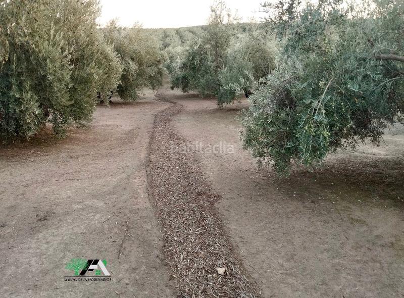 Foto c3177f11-6af3-4ebf-bcf0-1a5daa0fc6f5. Finca rústica terreno en venta en maragato plateras, . en Torreblascopedro