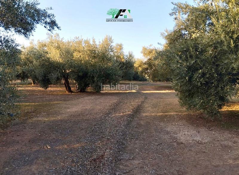 Foto cf03a861-6eed-44c2-90fa-93573d8bb6c0. Finca rústica terreno en venta en maragato plateras, . en Torreblascopedro