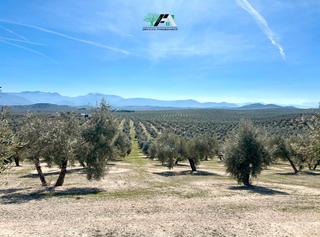 Finca rústica  N/a. Terreno en venta cerca de arroyovil, mancha real.