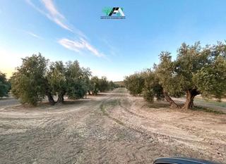 Finca rústica  N/a. Terreno en venta en camino córdoba, begijar.
