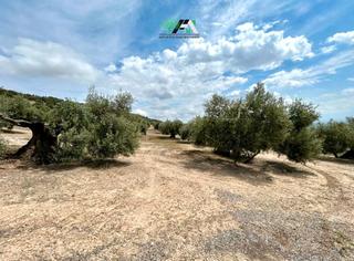Finca rústica  Calle de la magdalena. Terreno en venta en valdejaén-gordal, baeza.