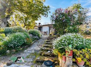 Finca rústica a Baeza. Terreno en venta en camino escarihuela zona las minillas s/n, ba