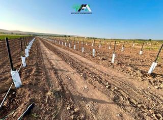 Finca rústica  Travesia de linares. Terreno en venta en vegas del guadalimar, torreblascopedro.