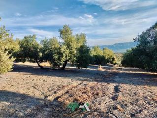 Finca rústica  N/a. Terreno en venta en zona las quebradas, baeza.