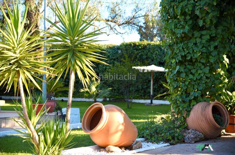 Foto 05375200-93fd-4cf6-85ee-7e6a064df424. Lloguer xalet amb xemeneia piscina a Baeza