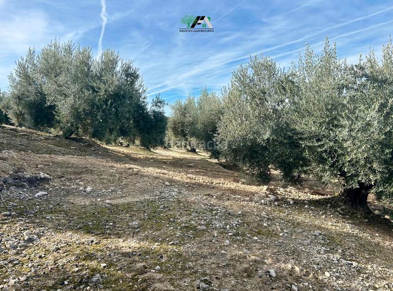 Foto 0e666515-4491-4f51-9743-ef77edab1ebc. Rural plot in Jimena