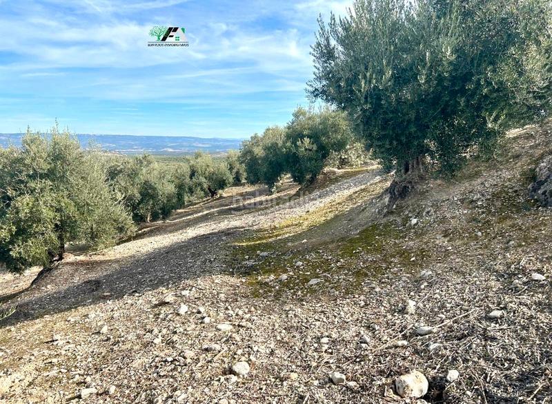 Foto 2242cda7-c10b-4c22-b987-515e8f5f7af4. Rural plot in Jimena