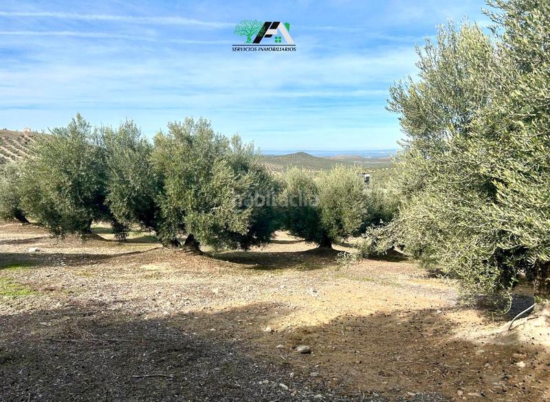 Foto 904d5250-17a9-40b7-a298-b1454033829d. Rural plot in Jimena