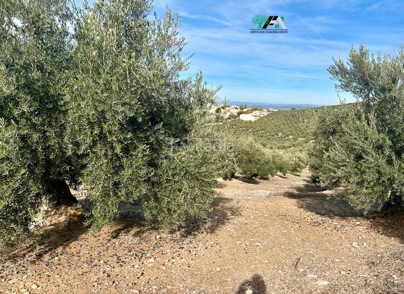 Foto f5e3d51b-e559-491f-a221-8d03f239af23. Rural plot in Jimena