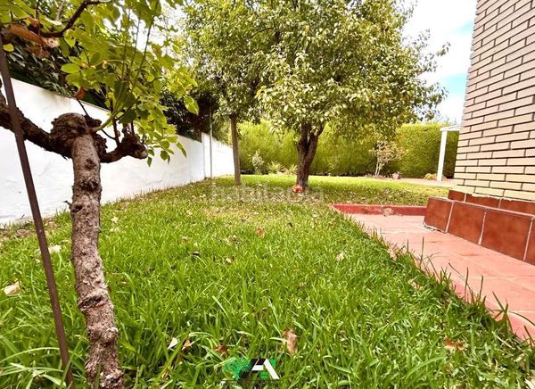 Foto c6ec758c-d761-4548-8b41-3666e0337bef. Lloguer xalet a Baeza