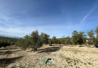 Finca rústica a Begíjar. Begijar - camino de cordoba.