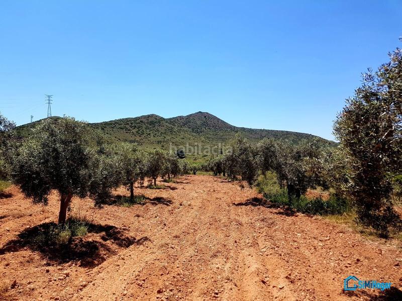 Foto 4ace634f-c5a0-4407-a75c-0672e3b94f3a. Casa in La Pinilla - Las Palas Fuente Álamo de Murcia