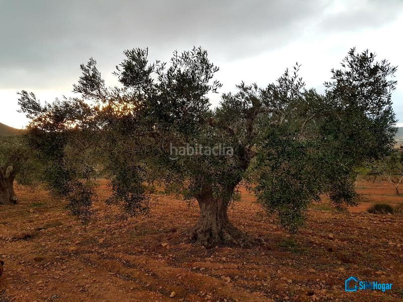 Foto fad12b82-39f8-4dfc-86d3-1549c68f374e. Casa in La Pinilla - Las Palas Fuente Álamo de Murcia