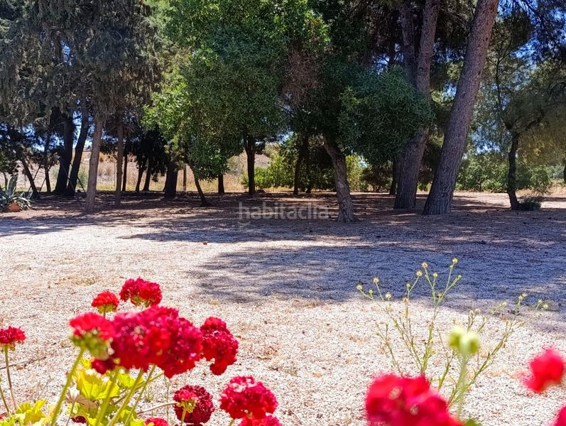 Foto 4e72e919-bf2a-40c2-af0b-6b0a34b0a9a8. Masia amb aparcament piscina a Los Urrutias Cartagena