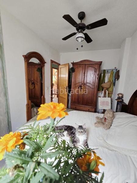 Foto 55864c8b-66e8-4520-843d-8e8fa286d4ef. Ático amplio dúplex con 4 dormitorios y mucha luz en Murcia