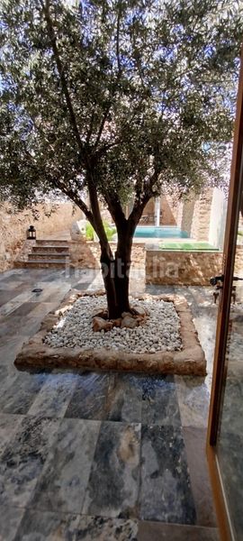 Foto bd1104b3-fd44-4e26-8fbf-1cd985b0de4d. Planta baixa amb calefacció piscina a Torres de Cotillas (Las)