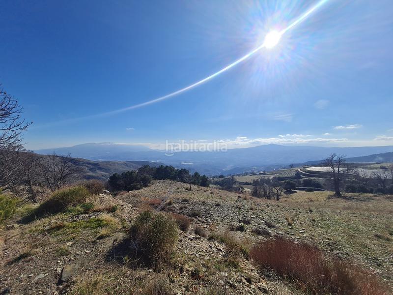 Foto 2e1d437f-aee7-4a94-82d1-24d7789596ae. Propriété dans Alpujarra de la Sierra