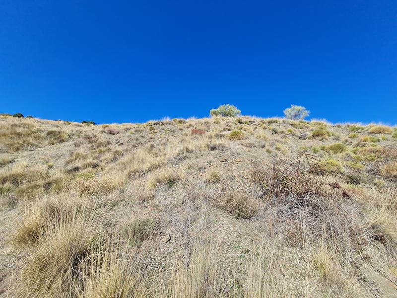 Foto 30d42f99-e47c-4c5a-91c4-9989a787e5b2. Propriété dans Alpujarra de la Sierra