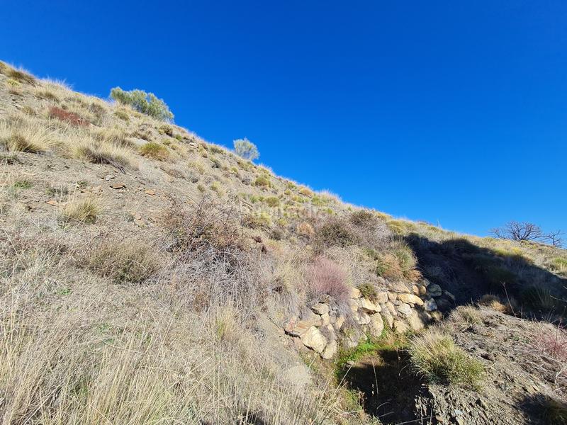 Foto 4db8407c-c409-4c70-b017-c3cb6eae959d. Propriété dans Alpujarra de la Sierra