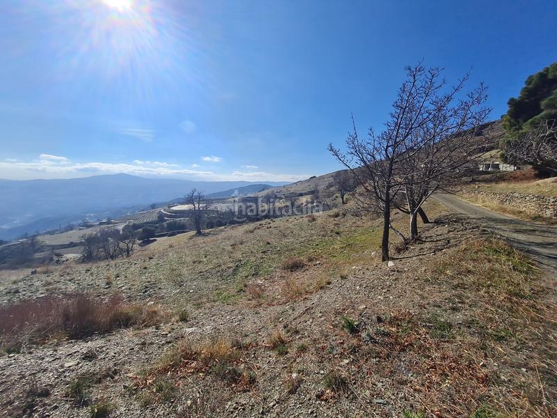 Foto 9d6f8e26-0661-43c9-bac3-f29ed65d283a. Propriété dans Alpujarra de la Sierra