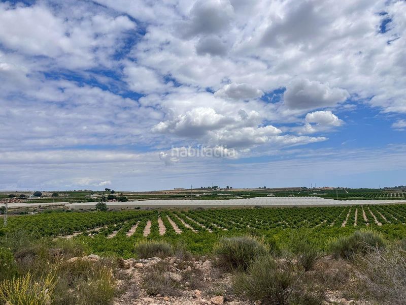 Foto 0ee0b974-70f2-4516-82d3-4c66603cac52. Local comercial a Montesinos (Los)