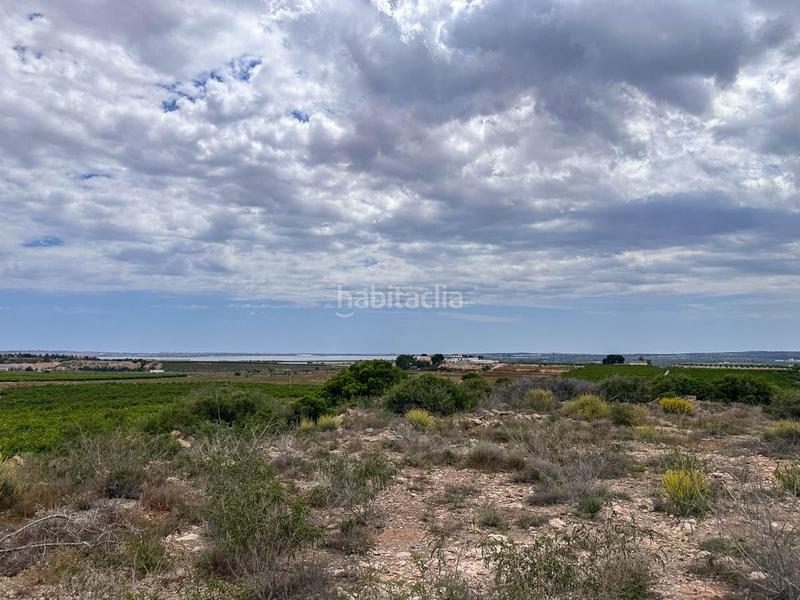 Foto 23bf427d-6e1a-405e-b4e6-9601266c9750. Geschäftsraum in Montesinos (Los)