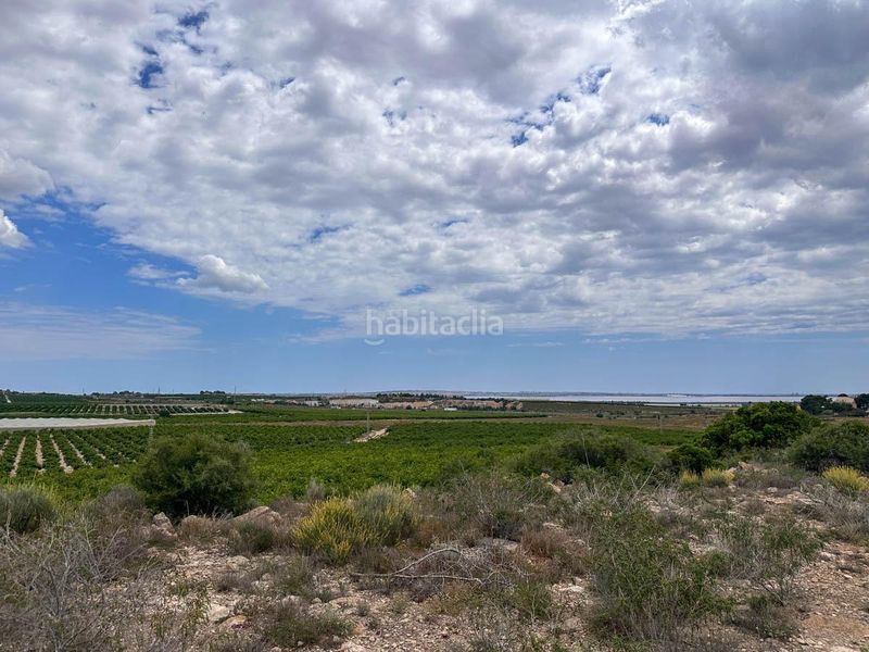 Foto b19ad455-bbc9-4522-a0ea-96c9c44a1882. Local comercial a Montesinos (Los)