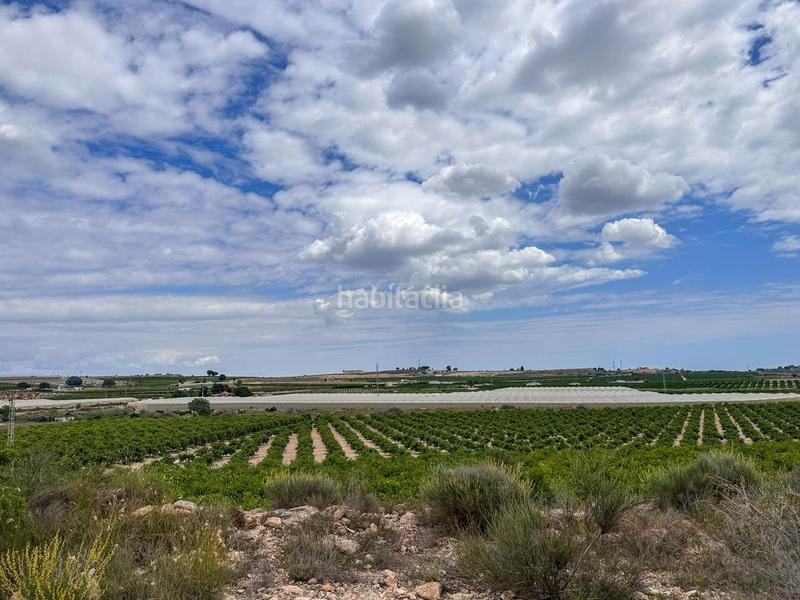 Foto bee2d4f5-d162-4690-9287-2c34095963db. Geschäftsraum in Montesinos (Los)