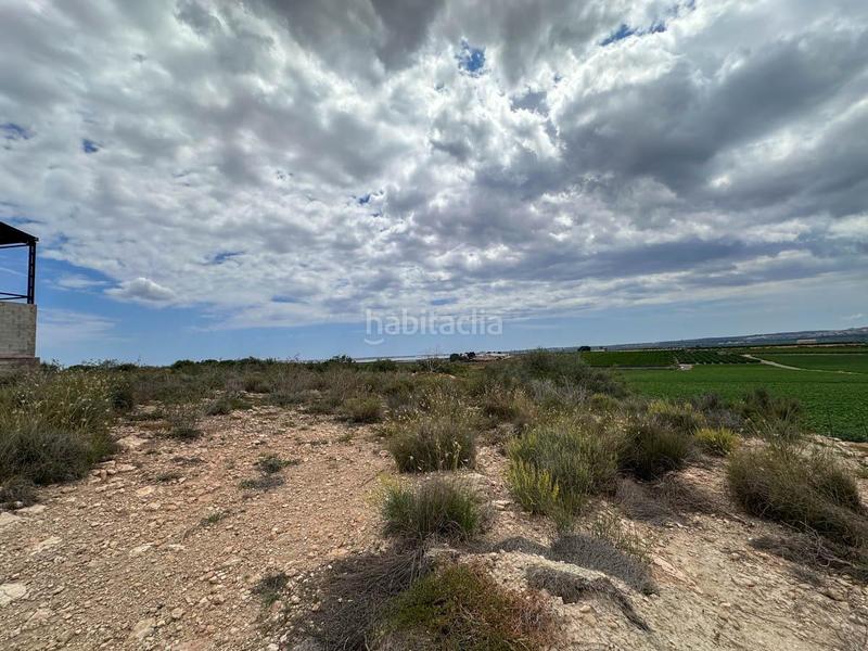 Foto d7c13637-07ab-454a-a91e-fc81801ff980. Geschäftsraum in Montesinos (Los)