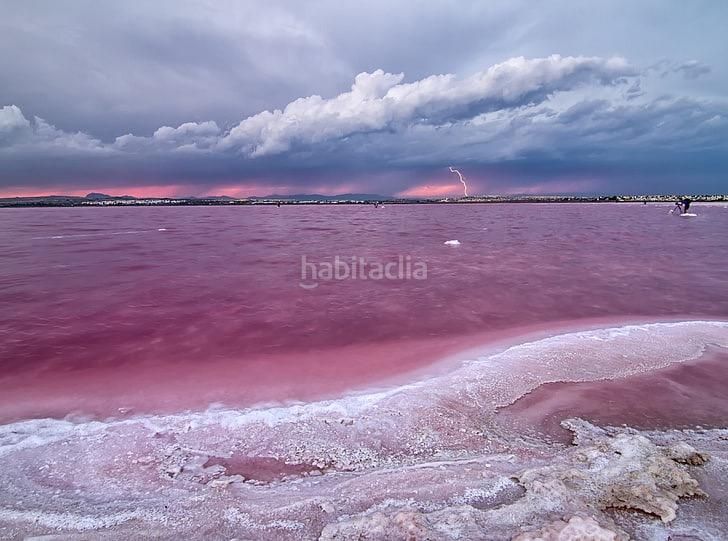 Foto 466f39f9-97e5-44dd-92d7-883948d3d704. Casa amb piscina a Aguas Nuevas Torrevieja