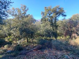 Terreny residencial a Riells i Viabrea. Parcel·la amb vistes espectaculars del montseny