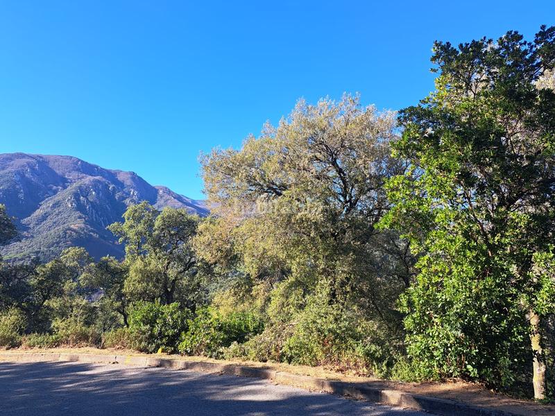 Foto 15f8fb9b-cd90-4f94-9cbb-8535b41837df. Terreny residencial a Riells i Viabrea