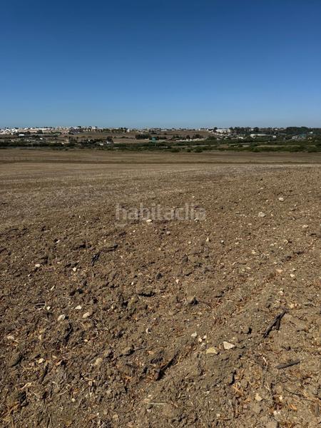 Foto 49936a93-968f-4061-930d-ccba673d07fc. Terreno residenziale in Pelagatos - Pago del Humo Chiclana de la Frontera