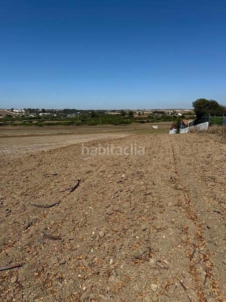 Foto 959ffdf7-3711-4de5-a4f8-14621068010f. Terreno residenziale in Pelagatos - Pago del Humo Chiclana de la Frontera