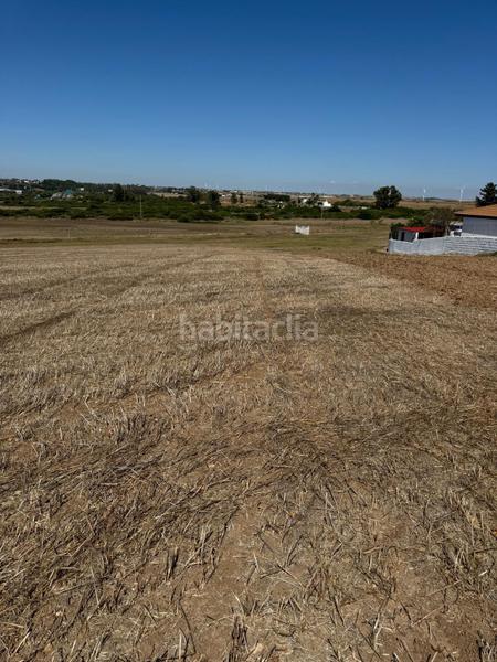 Foto f1d0fbaf-be84-48cc-a995-500d1ee8fec2. Terreno residenziale in Pelagatos - Pago del Humo Chiclana de la Frontera