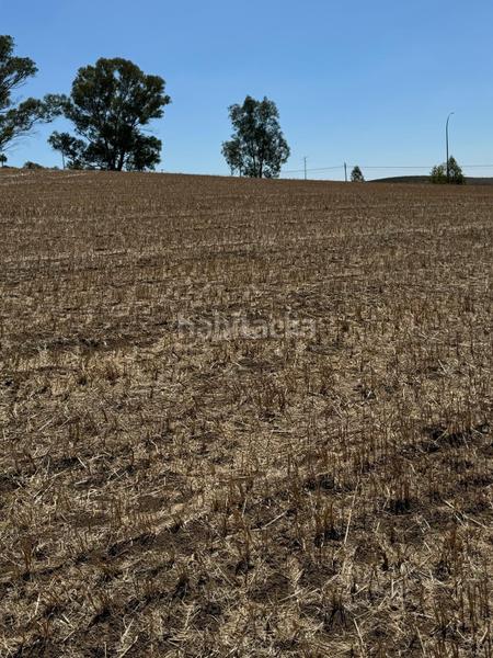 Foto fad5f0fd-6e79-4fb2-a600-79142e9b4670. Terreno residenziale in Pelagatos - Pago del Humo Chiclana de la Frontera