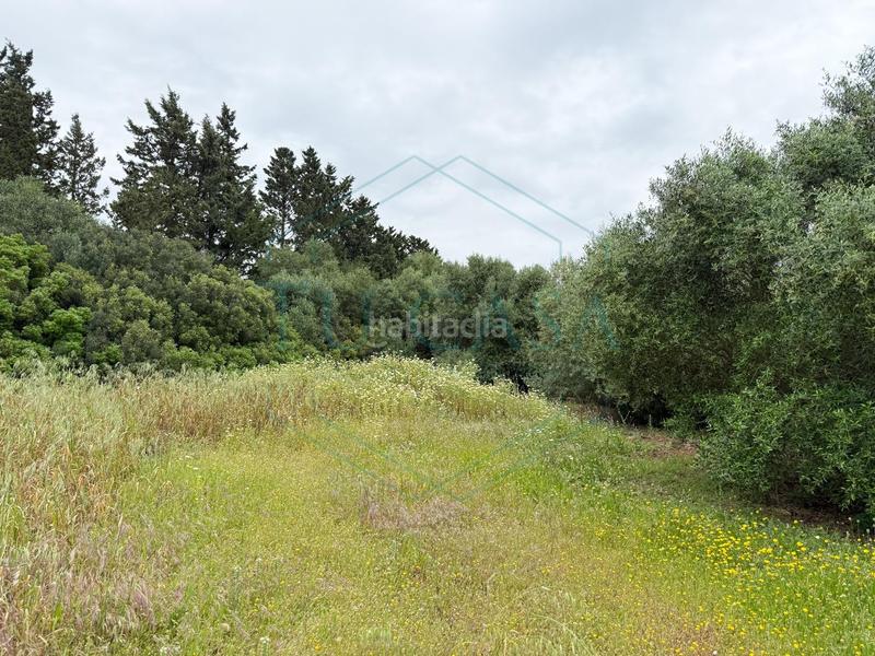 Foto 24f81b73-5665-46be-b732-011a7238b240. Propriété dans Villanueva Golf Puerto Real