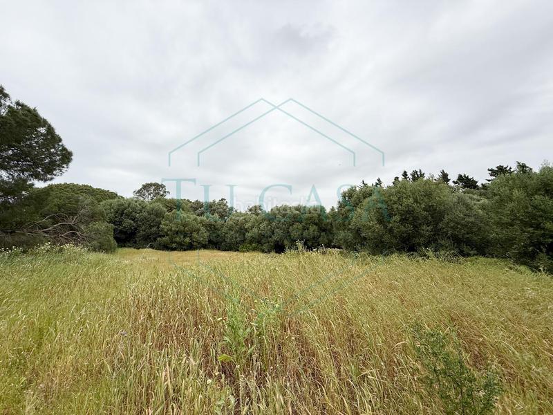 Foto 83ff3705-2781-449e-a464-7080bffc13a5. Propriété dans Villanueva Golf Puerto Real