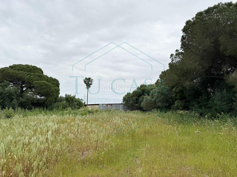 Foto 92188941-99d2-4e71-9bd0-761ceb1db034. Propriété dans Villanueva Golf Puerto Real