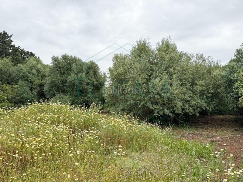 Foto b2d7dee1-80aa-4205-963c-cb0caf3cb461. Propriété dans Villanueva Golf Puerto Real