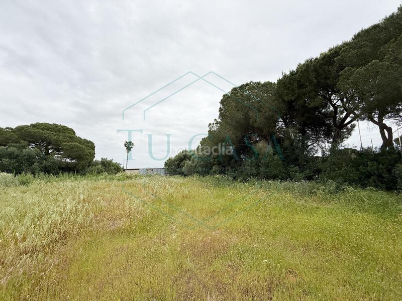 Foto bccc5367-808f-40e5-994e-a3378683904b. Propriété dans Villanueva Golf Puerto Real