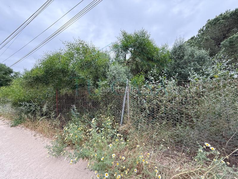 Foto fc967b68-bb9f-4c01-9b12-a90805775323. Propriété dans Villanueva Golf Puerto Real